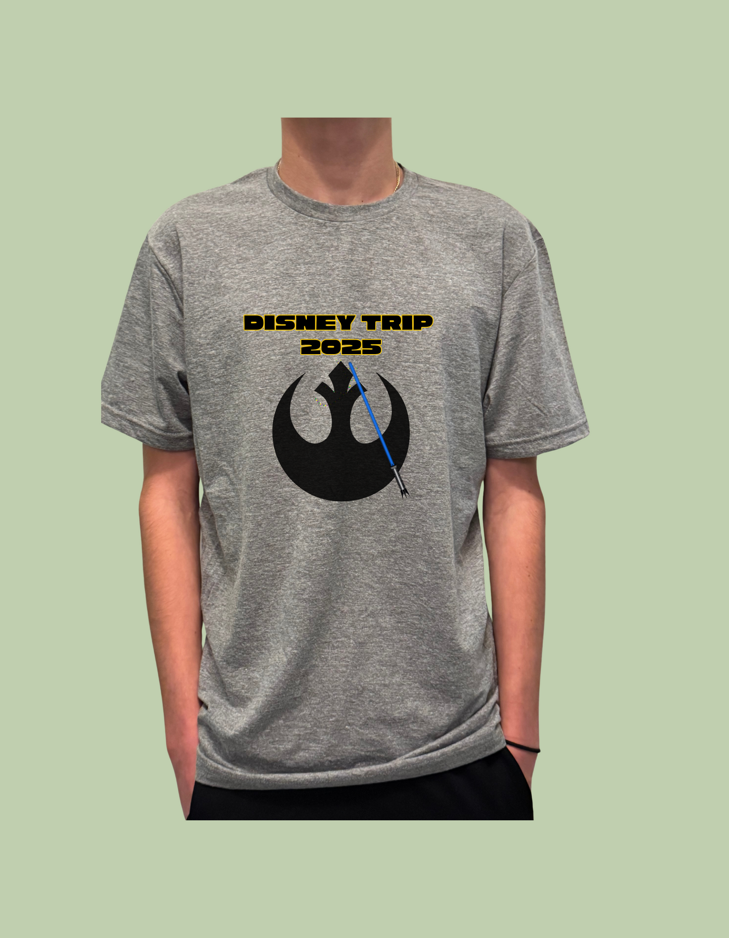 T-Shirt - "Disney Trip" with Year
